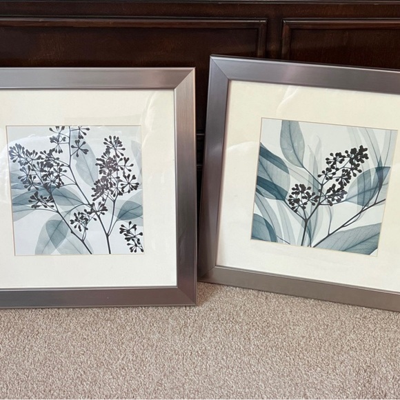 2 Pieces Framed Wall Art (Eucalyptus I and Il) by Steven Meters
